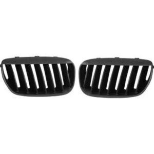 Set Grilles De Calandres Droite Et Gauche Noir Bmw X5 (E53) De 2003 À 2007 - Pièces auto Maroc