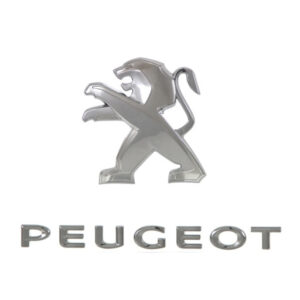 Sigle Hayon Arrière Peugeot 308 2013 - Pièces auto Maroc